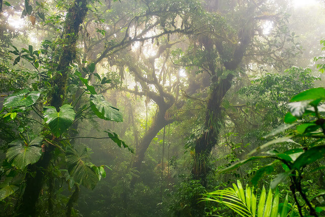 Ist das Reisen in Costa Rica sicher?